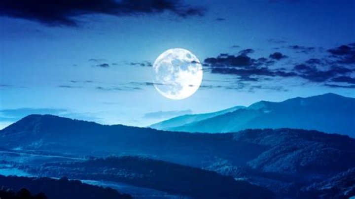 Piera Maggio Wikipedia: Everything To Know